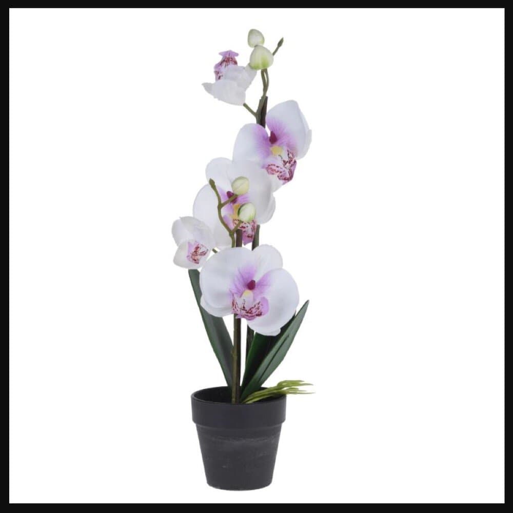 Artıfıcıal Orchıd In Pot 38Cm 2Ass 2