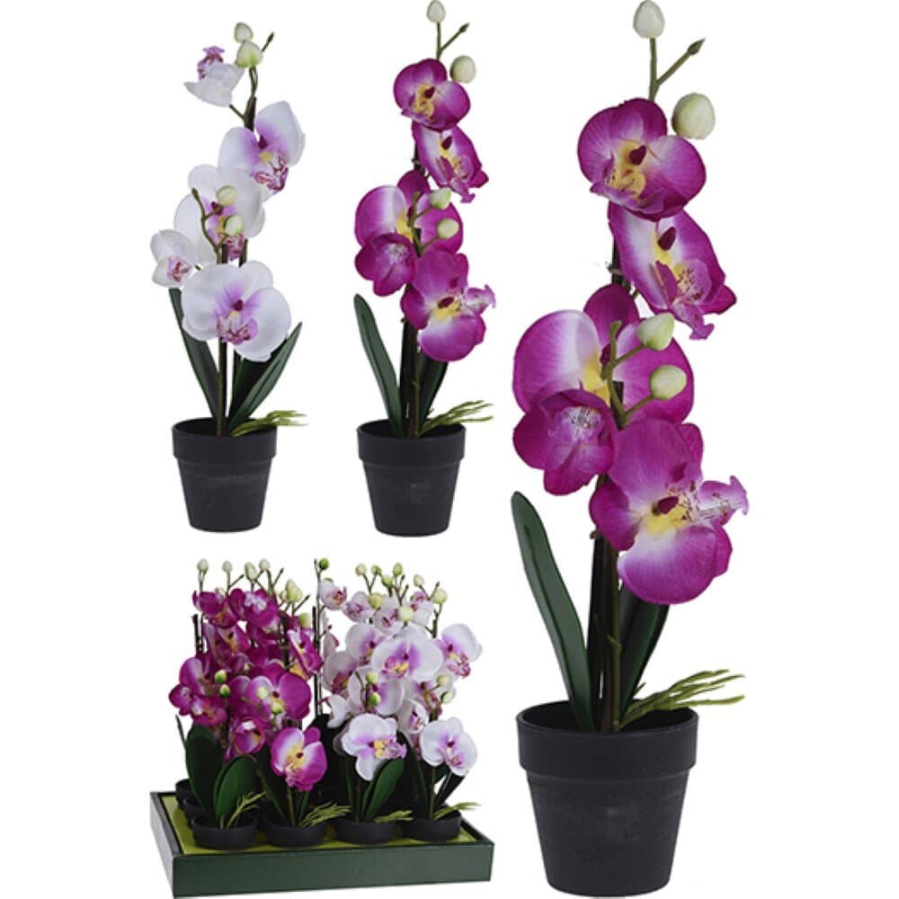 Artıfıcıal Orchıd In Pot 38Cm 2Ass