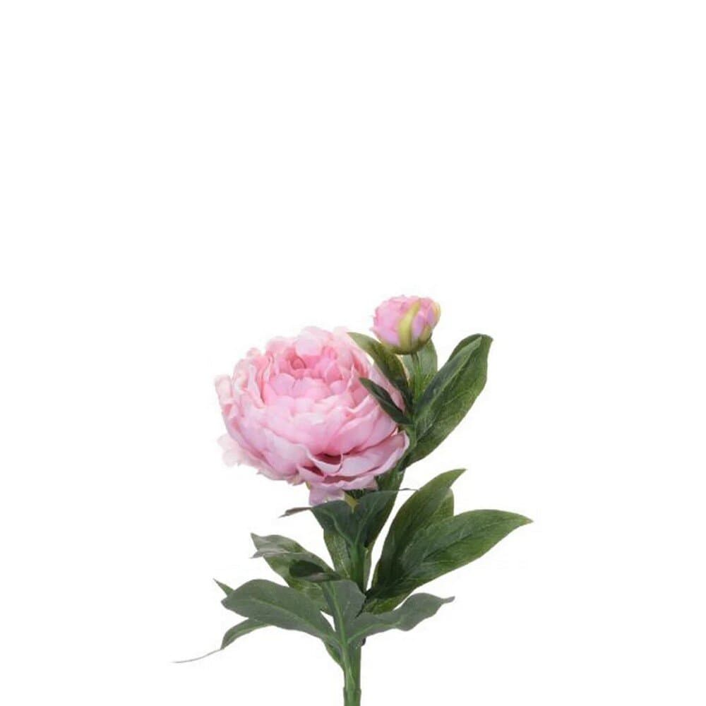 Artıfıcıal Peony 60Cm 3Ass 5