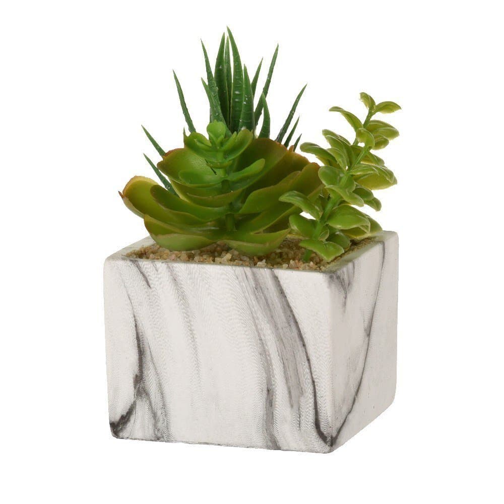 Artıfıcıal Plant In Square Pot