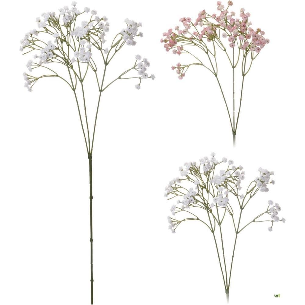 Plant Gypsophıla 68Cm  20 Gr 2Ass 4