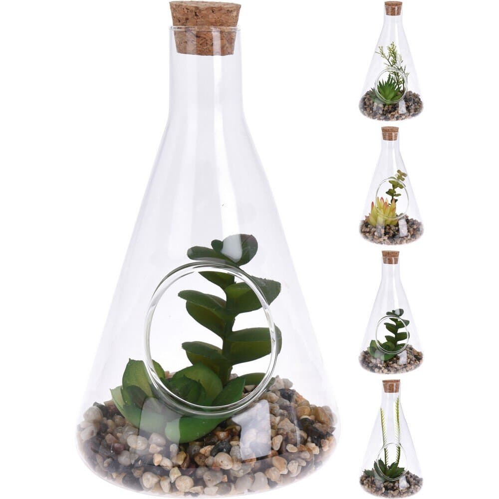 Plant In Glass 10X17Cm 4Ass