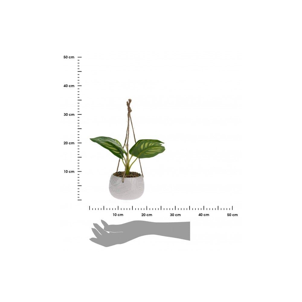 Plant In Pot 4Ass — photo 2