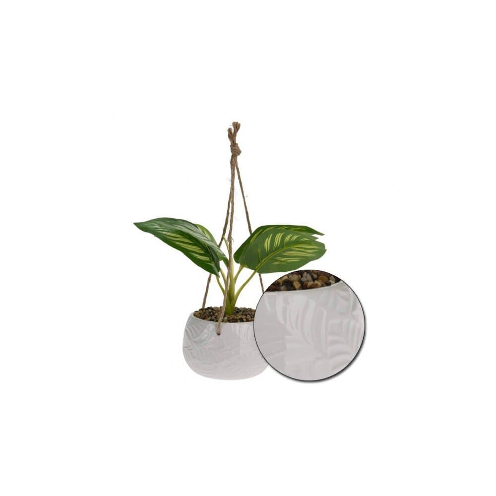 Plant In Pot 4Ass — photo 3