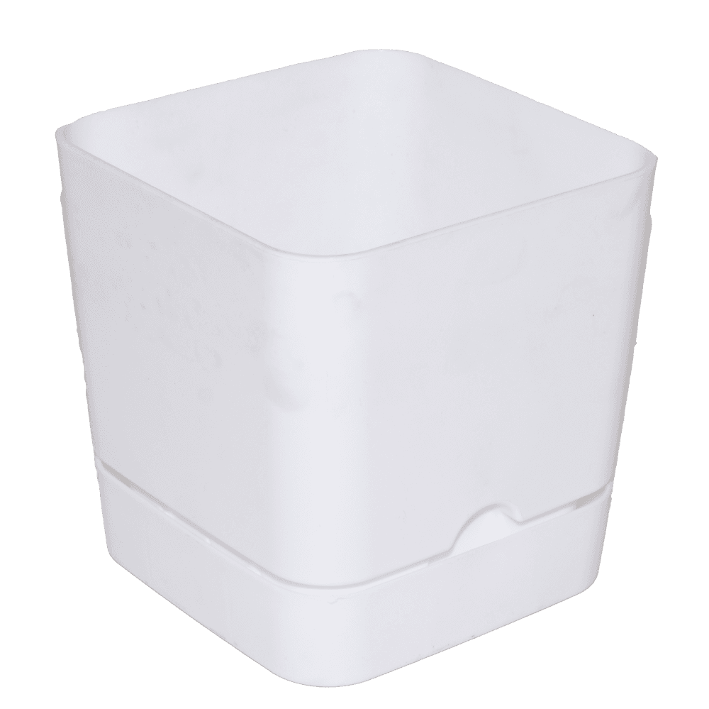 Begonya Square Flower Pot 16 White