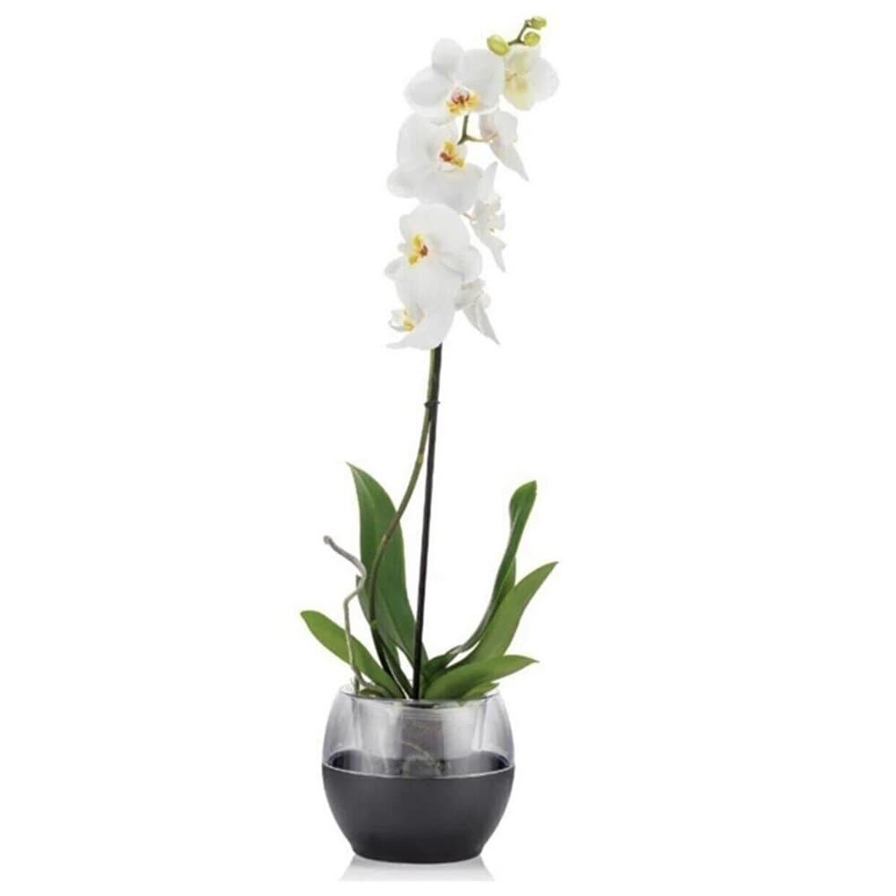 Buule Anthracite Flower Pot