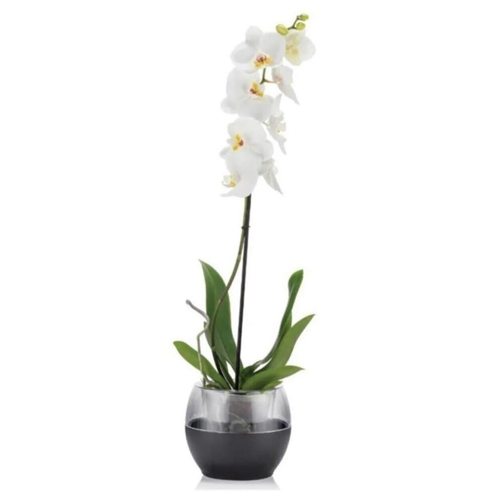 Buule Black Flower Pot 2