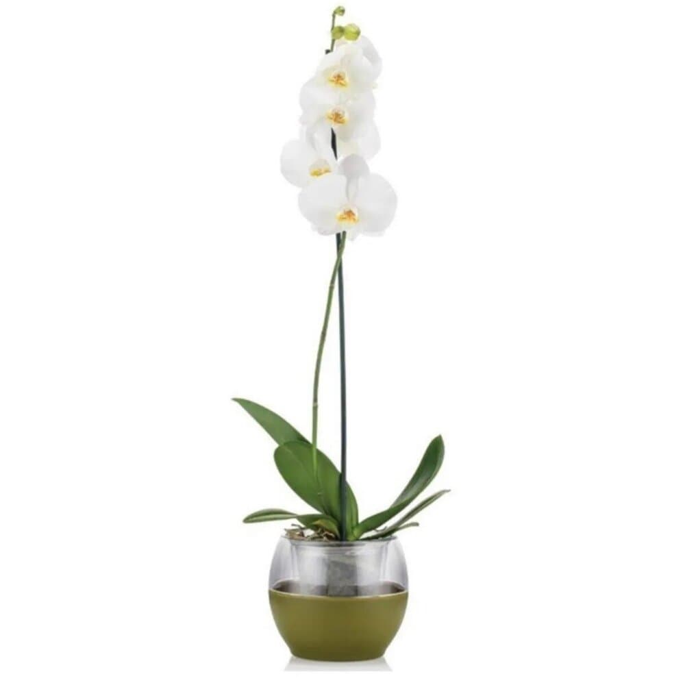 Buule Green Flower Pot