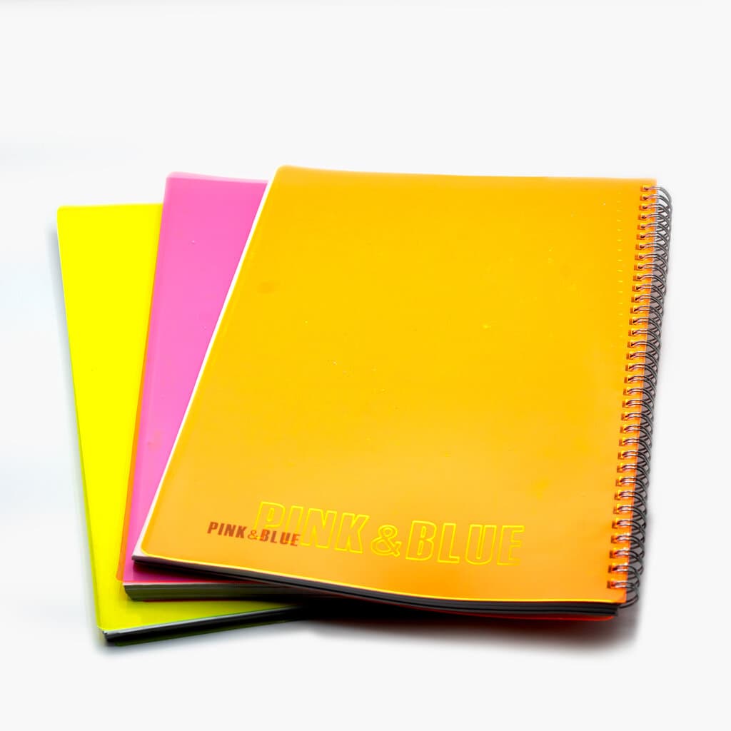 Pink and bue 100 page notebooks