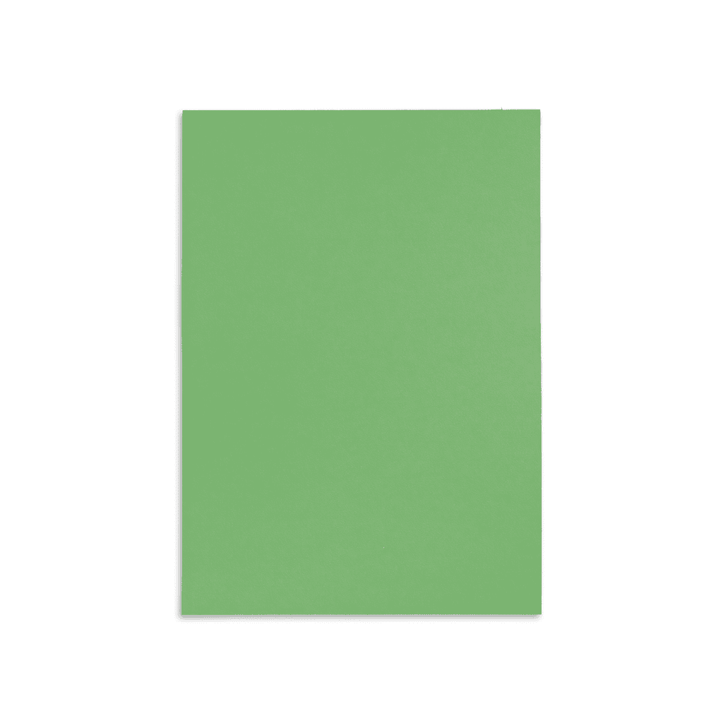 canson paper A3   -light green