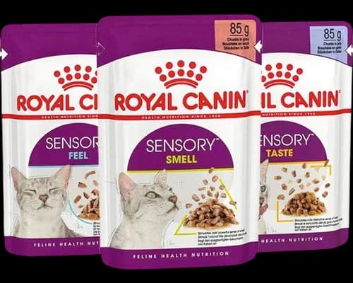 Sensory Multipack - 12x