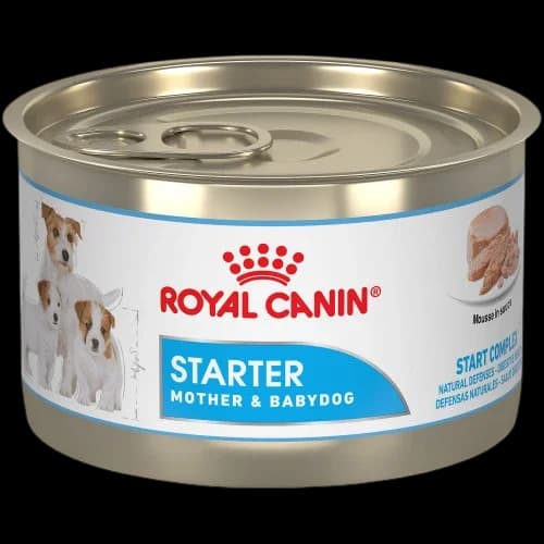 Mother and Baby Dog - 195g