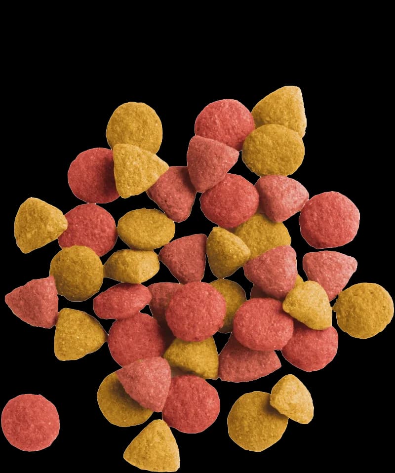 Lara Adult Sterilized - 2kg 2