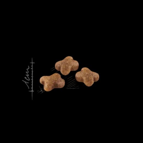 Royal Canin Kitten - 400g 3
