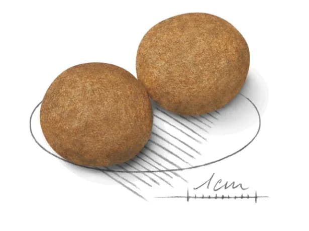 Royal Canin Medium Adult - 15kg 2