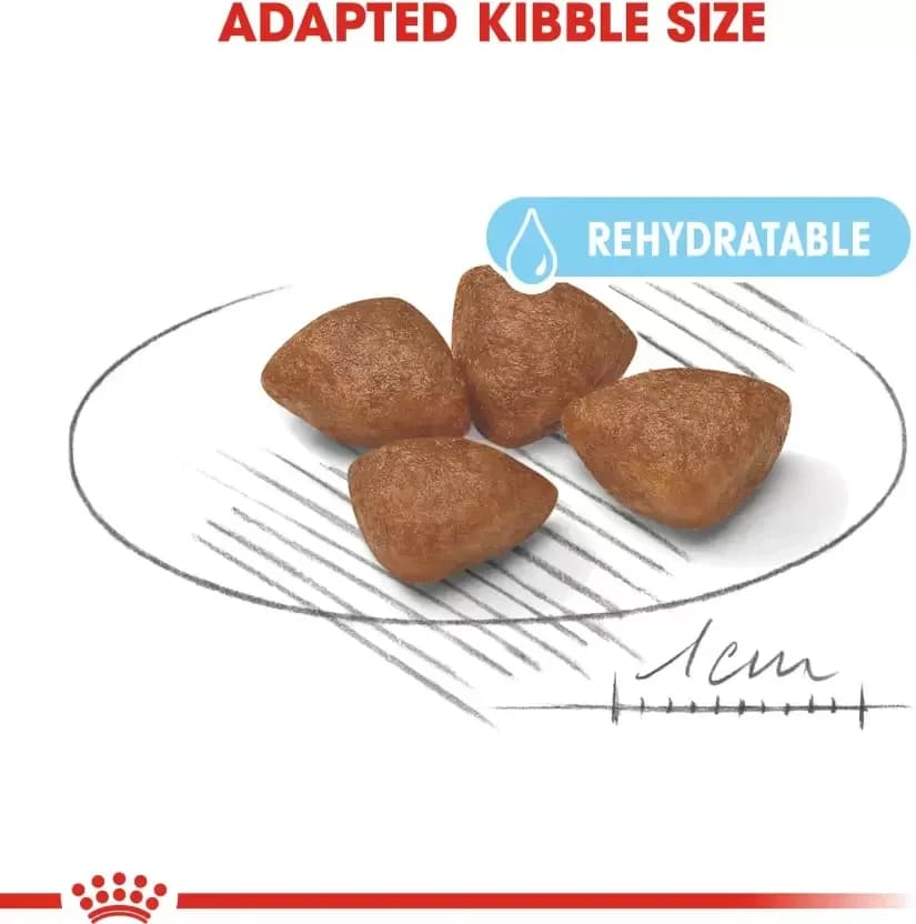 Royal Canin Mini Starter - 4kg 4