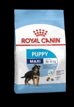Royal Canin Maxi Puppy - 15kg