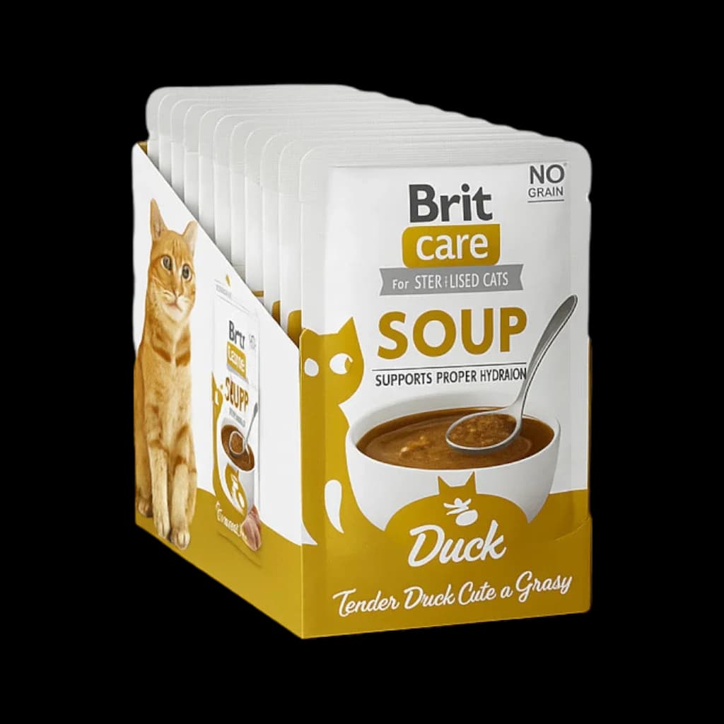 Soup with Duck - 15x