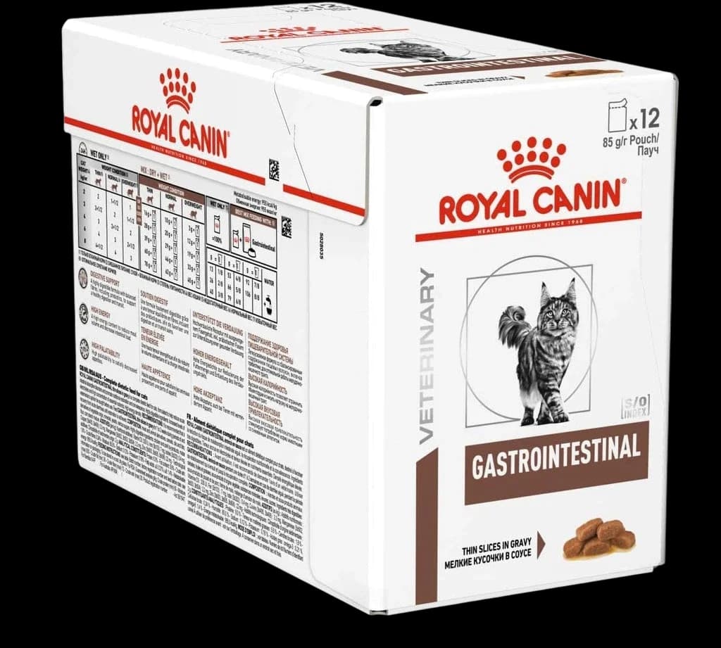 Gastro Intestinal Cat - 12x
