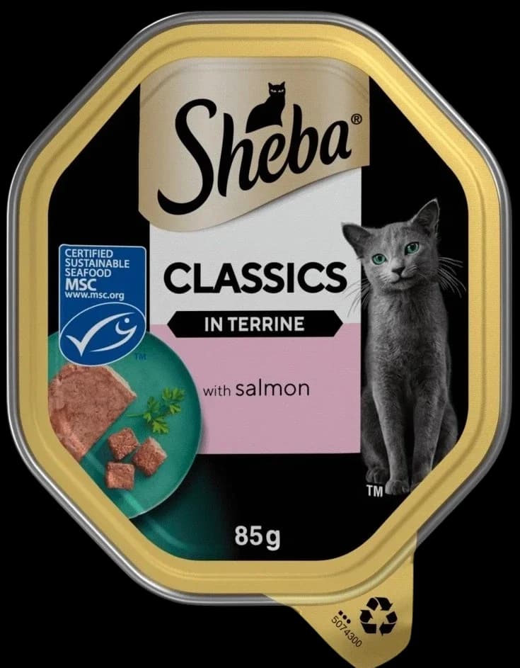 Salmon in Terrine - 85g