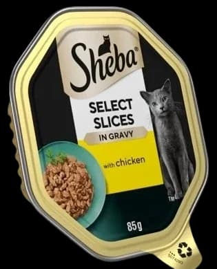 Chicken In Gravy - 85g