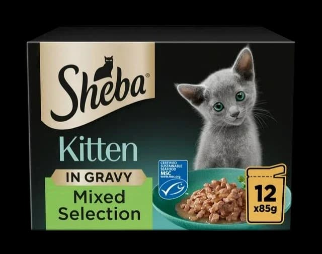Mixed Selection in Gravy Kitten - 12x 1