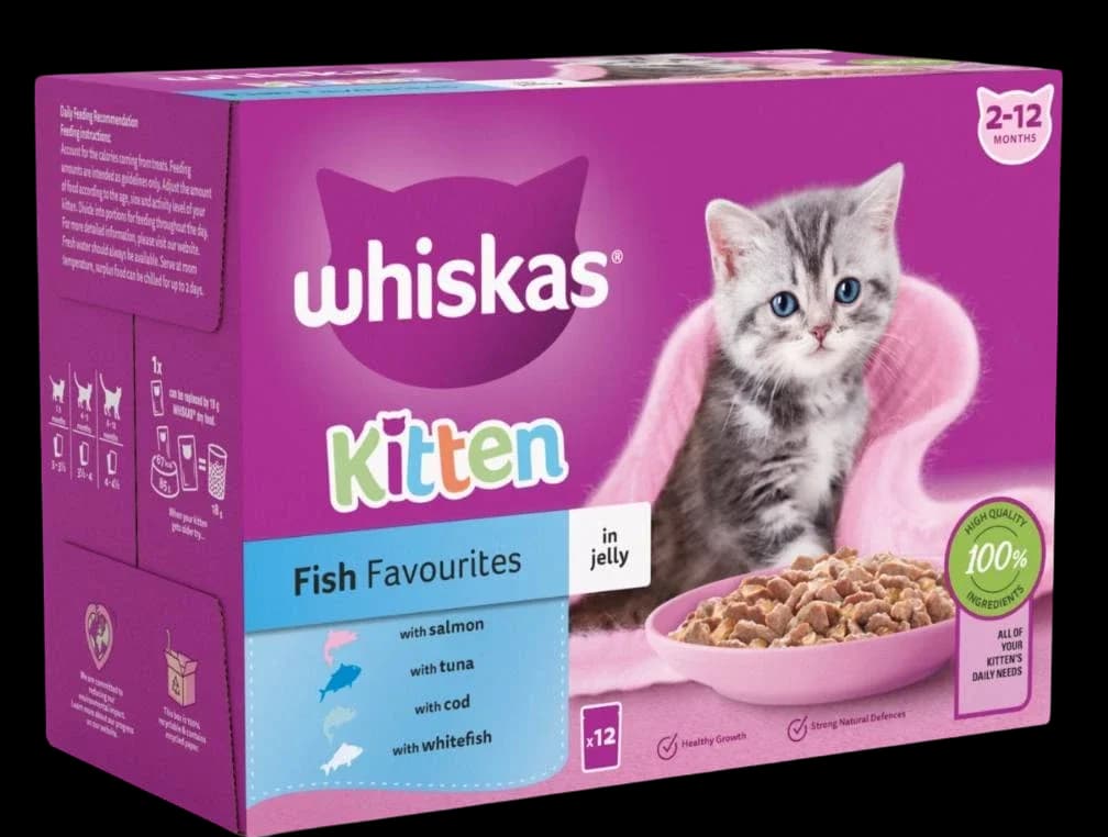 Fish Favourites - 12X