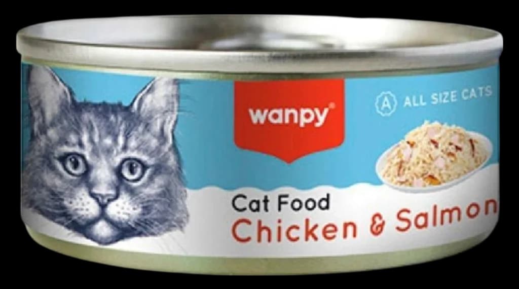 Cat Food Chicken & Salmon Flavor - 95g