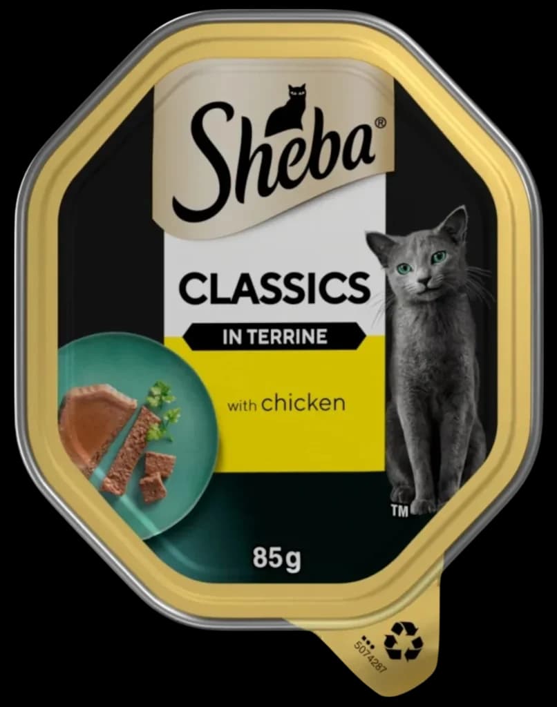 Chicken In Terrine - 85g