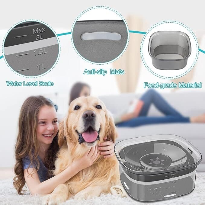 Dog Water Bowl - 2L 4