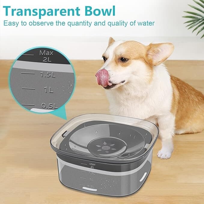Dog Water Bowl - 2L 7