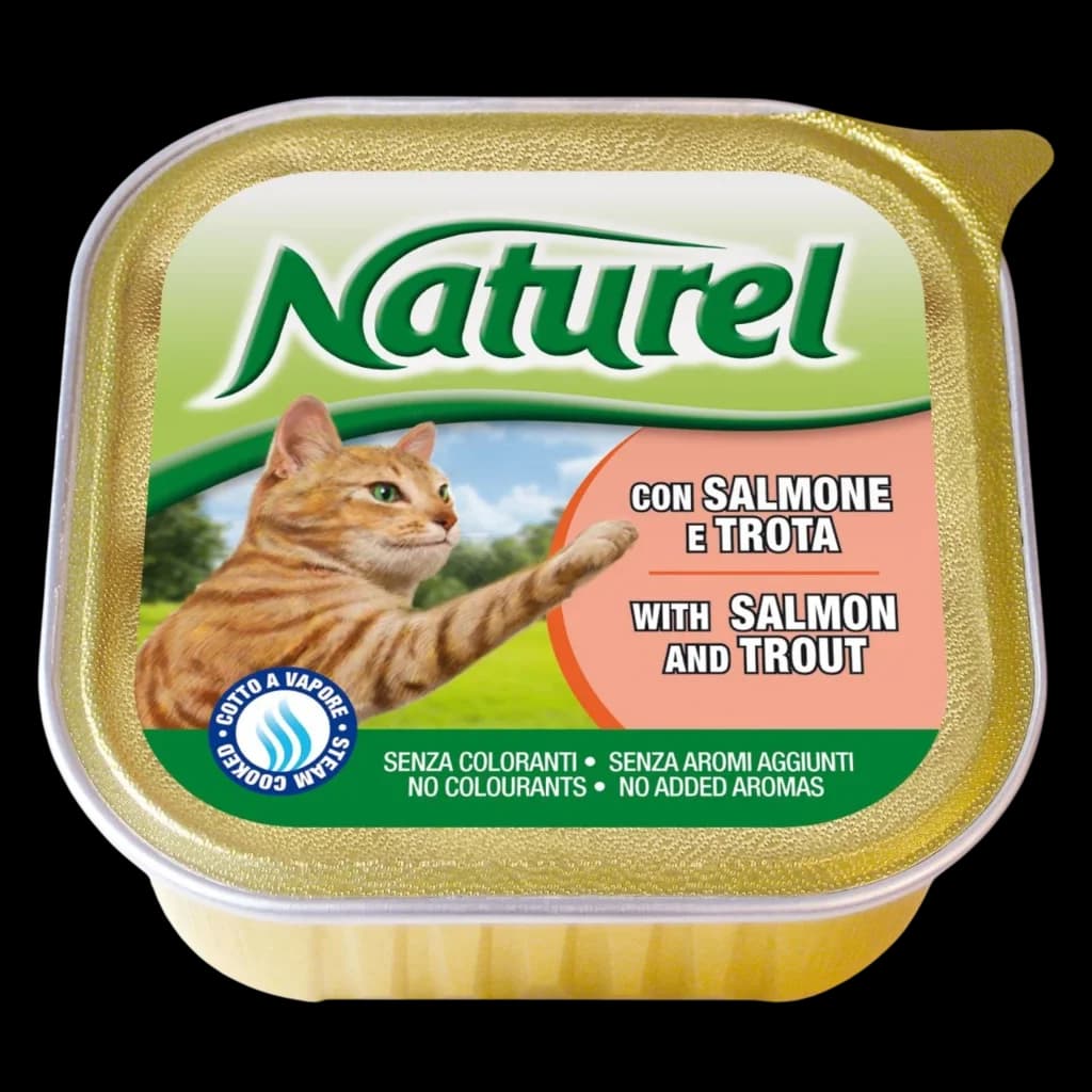 For Adult Cat With Salmon Flavour - 100g 1