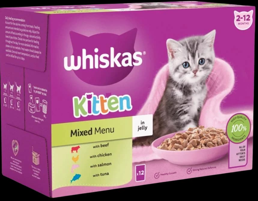 Kitten Mixed Menu In Jelly - 12x