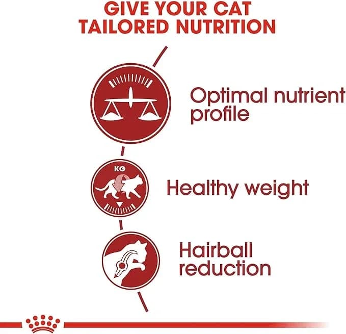 Royal Canin Fit - 10kg 3