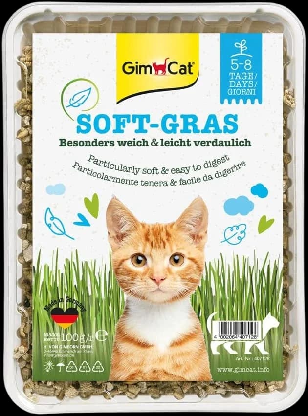 Cat Grass - 100g