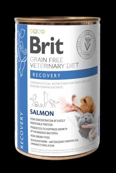 Recovery Salmon - 400g