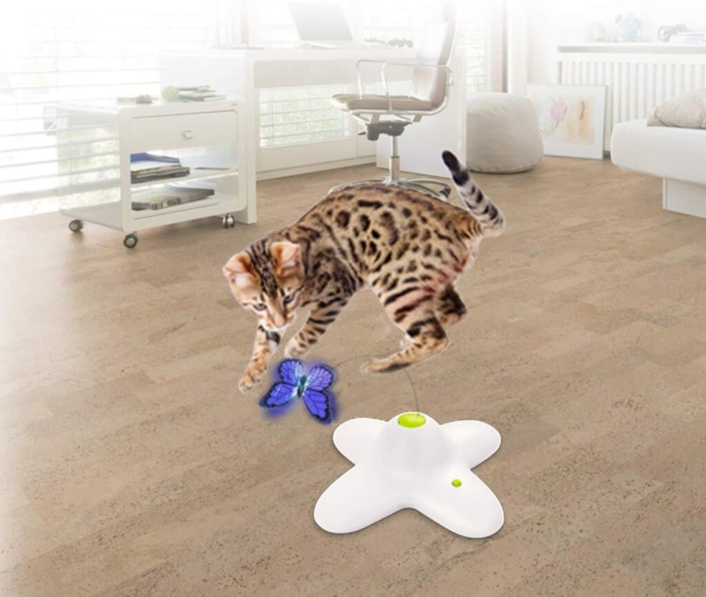 Cat Toy 3