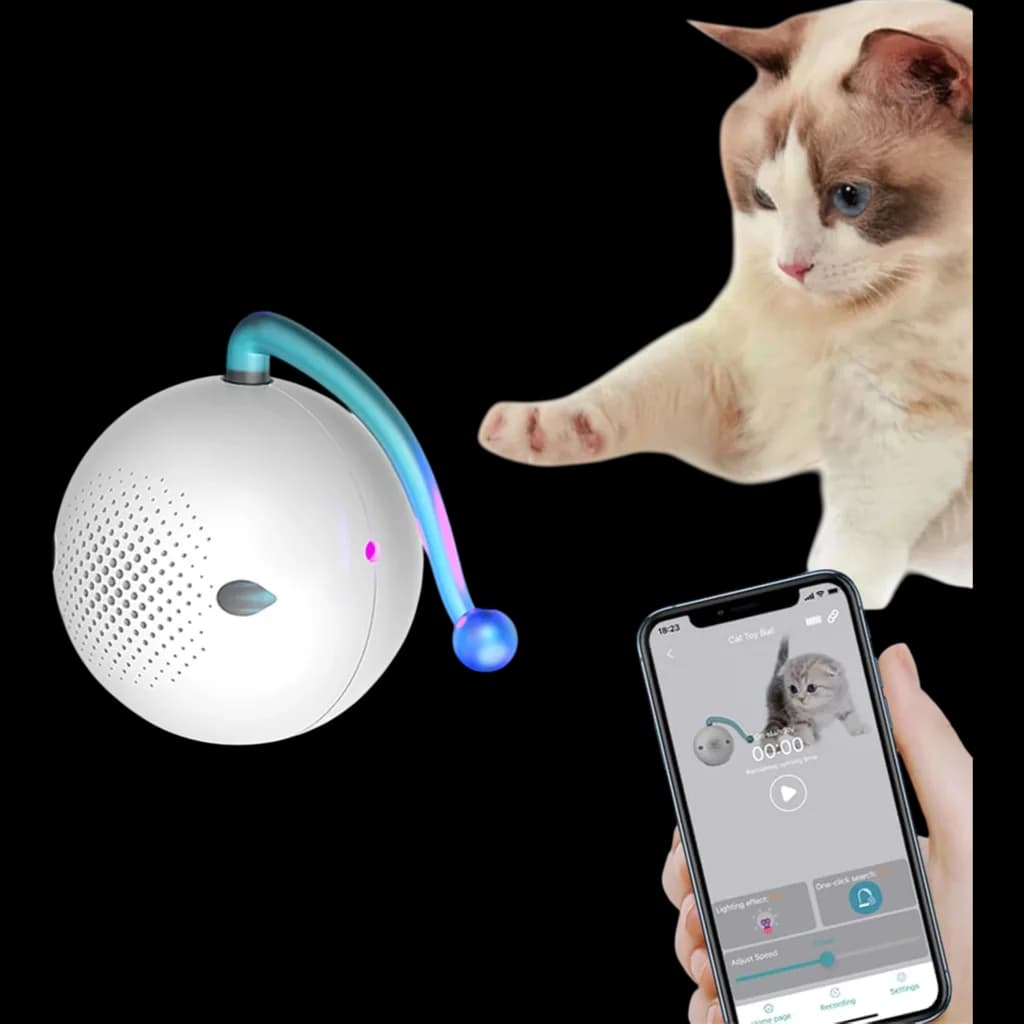 Interactive Cat Toy