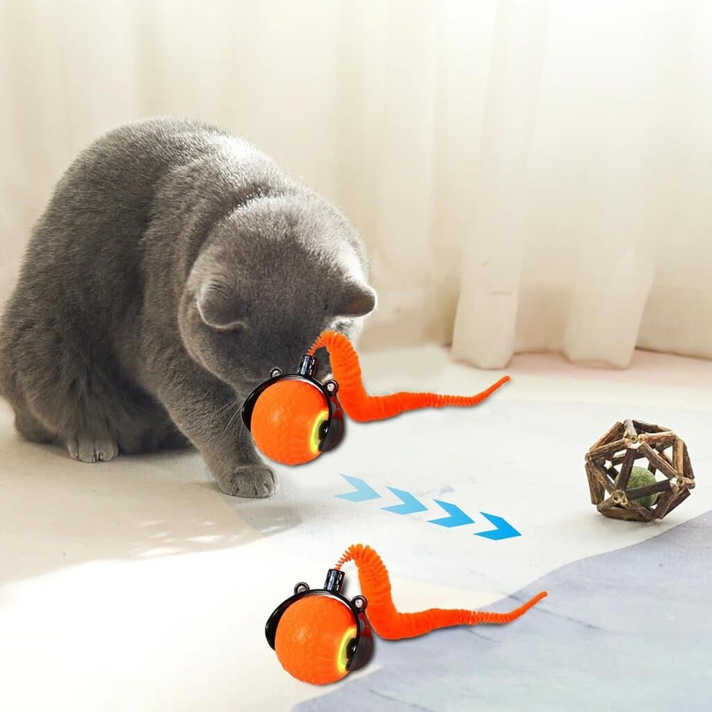 Interactive Cat Toy 2