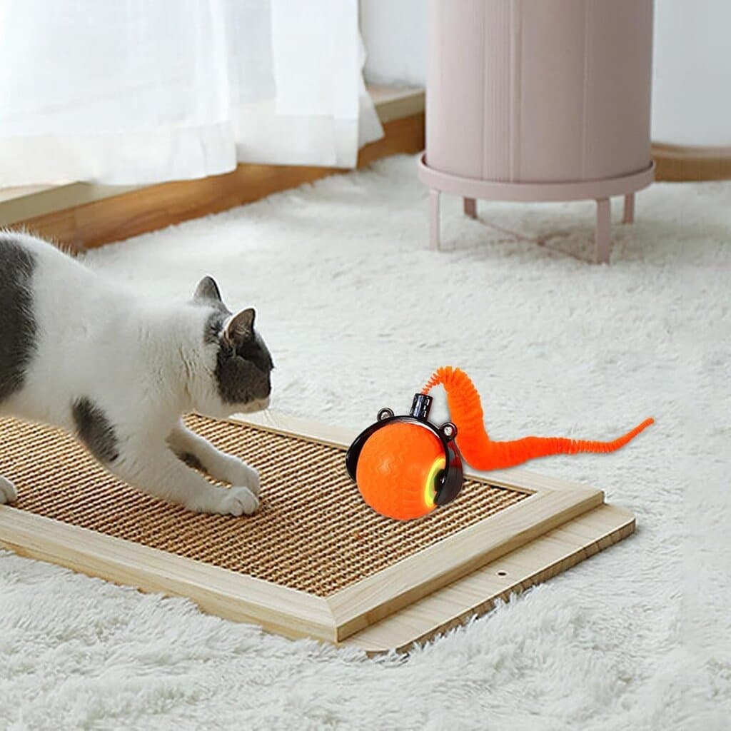 Interactive Cat Toy 3