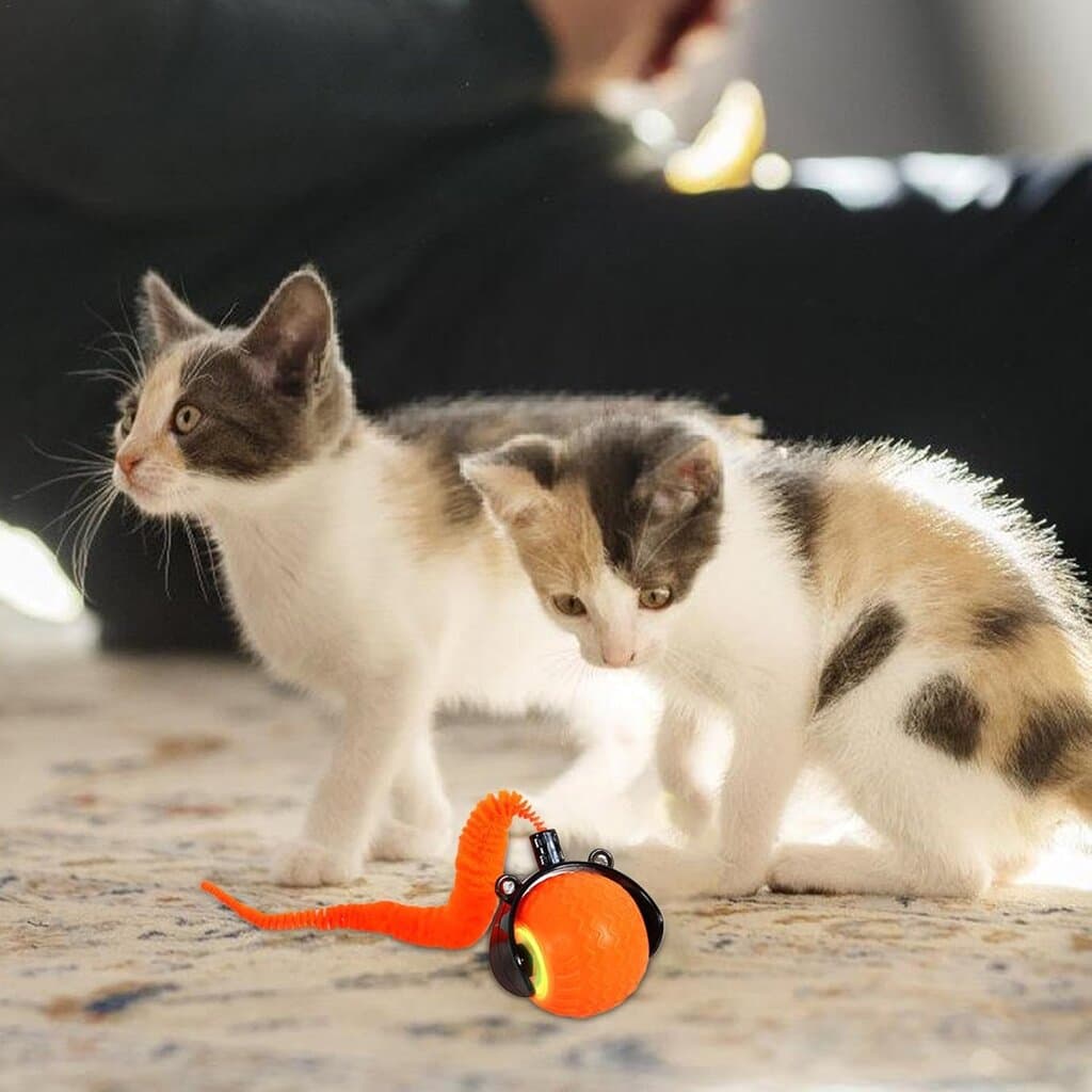 Interactive Cat Toy 4