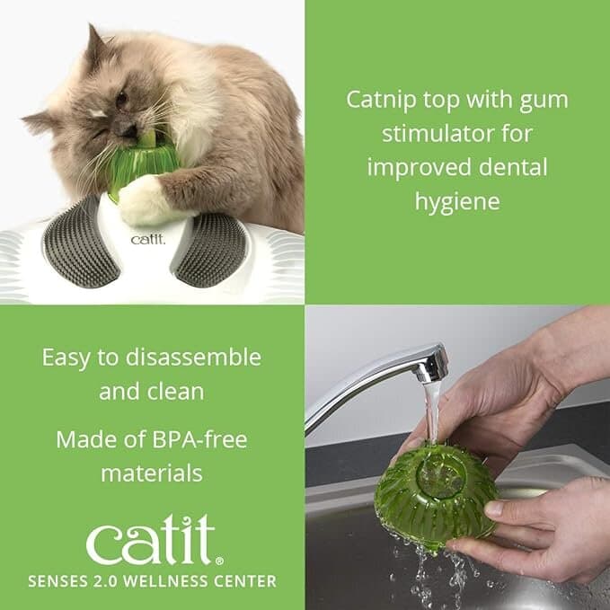 Cat Toy 2
