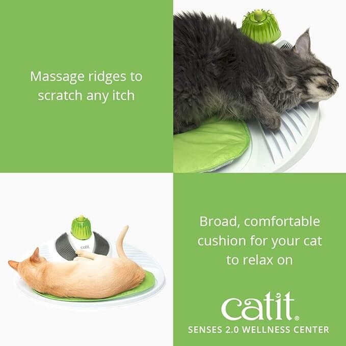 Cat Toy 3