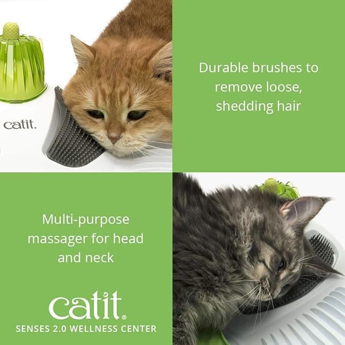 Cat Toy 4