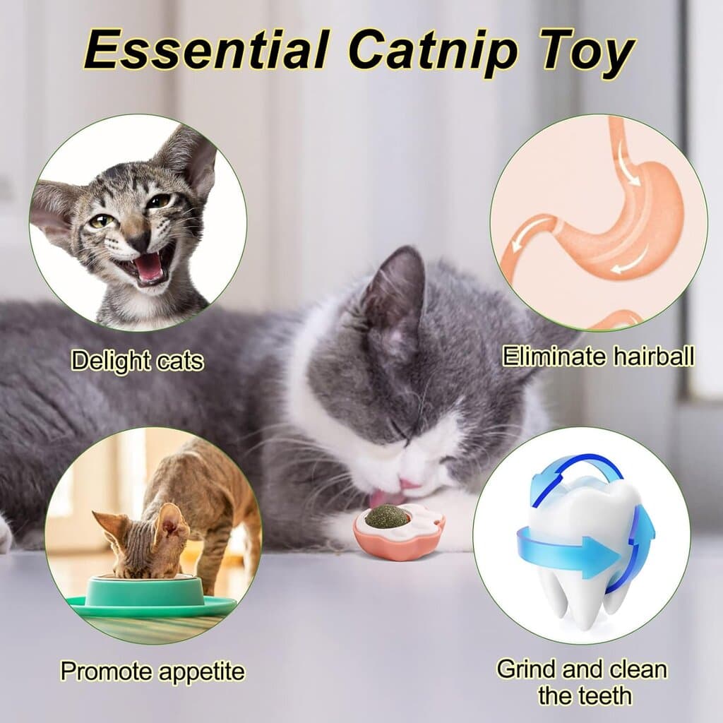 Catnip Ball 3