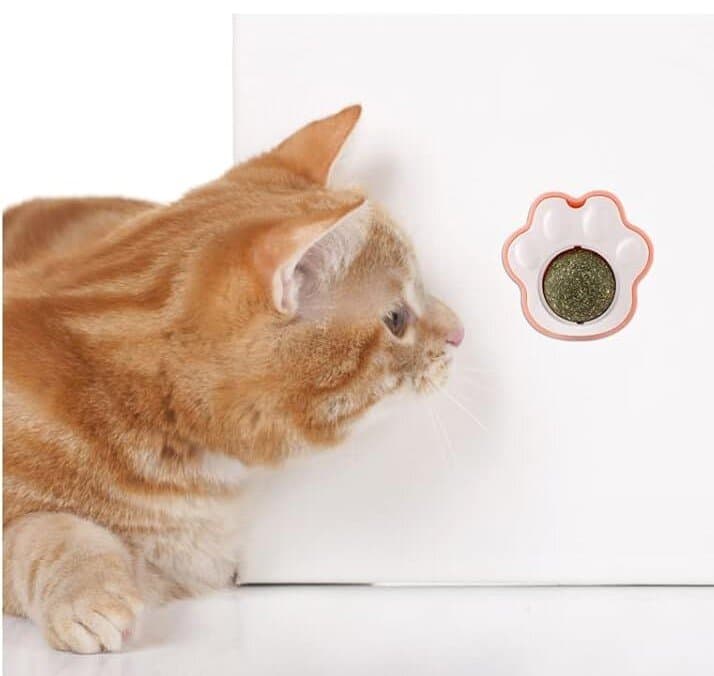Catnip Ball 4