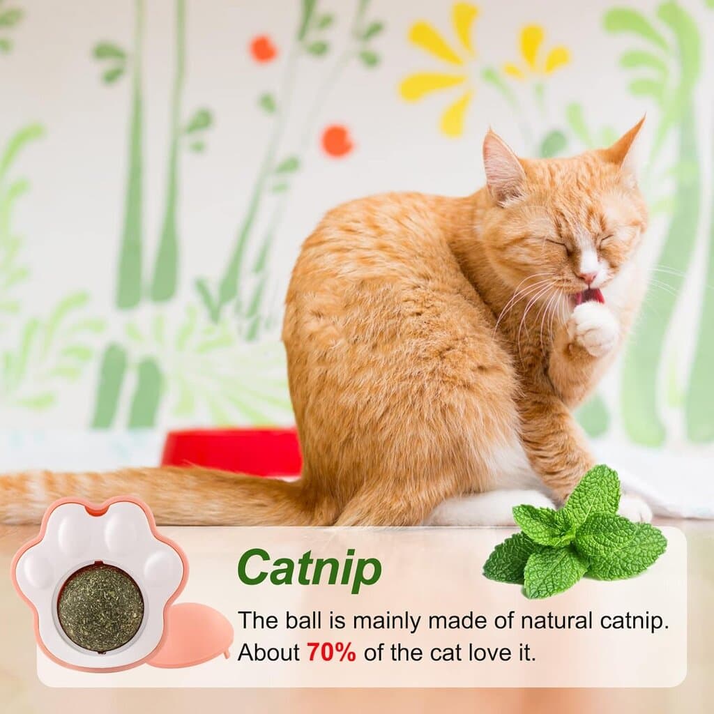 Catnip Ball 6