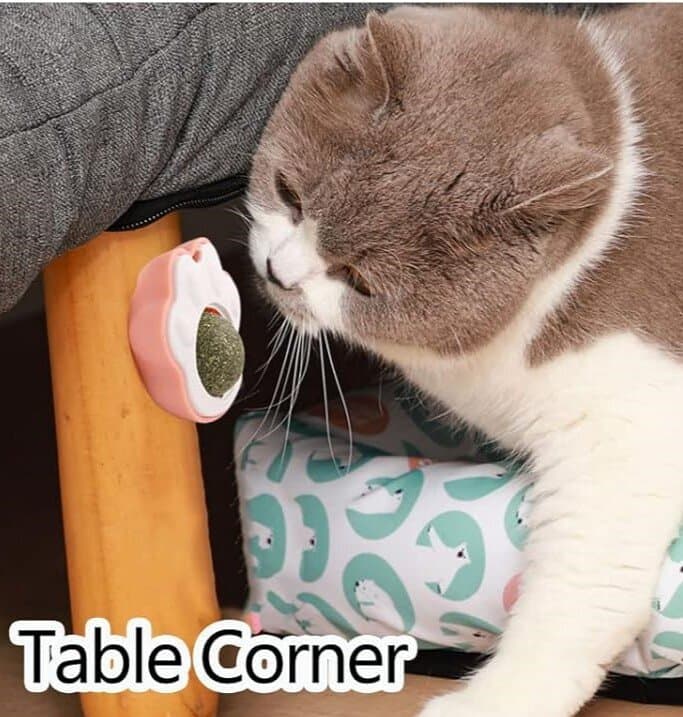 Catnip Ball 8