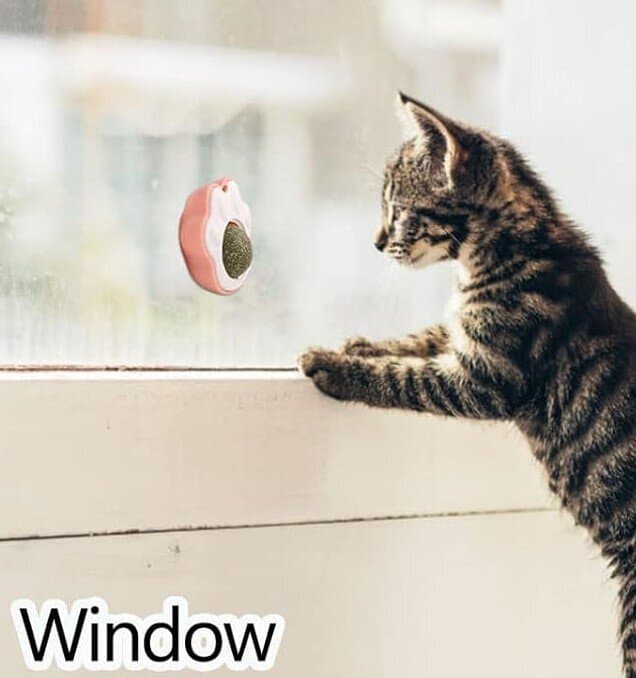 Catnip Ball 11