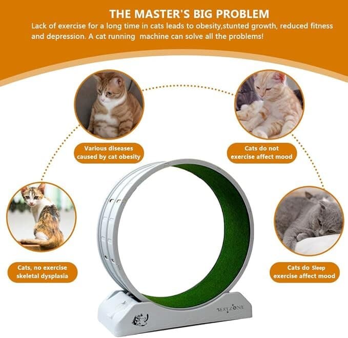 Cat Running Wheel - L 4